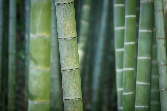 Best Artificial Bamboo Trees